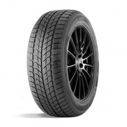 Doublestar Winterking DW09 215/45R17 91H